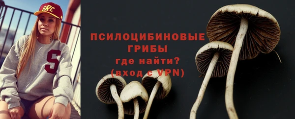 бошки Арсеньев