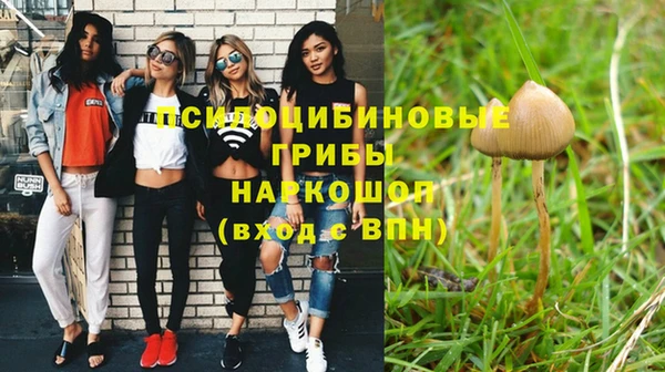 бошки Арсеньев